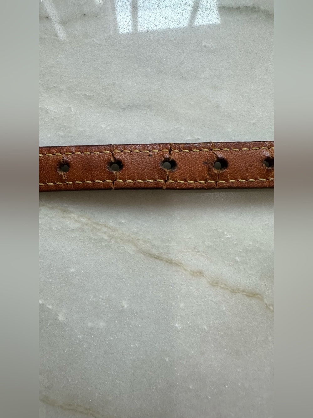 Louis Vuitton Laisse Baxter MM Pet Leash & Collar - M58056 & TH1008 - Picture 14 of 14